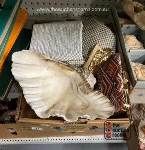 Handbags & Clam Shell