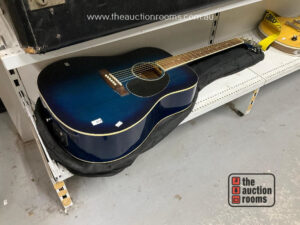 Ashton Accoustic Guitar