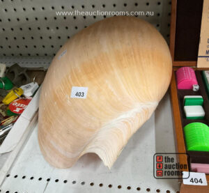 Large Shell