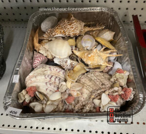 Quantity of Shells