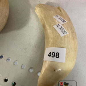 Lot 498