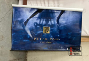 Peter Pan Vinyl Poster