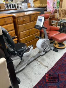 DKN Recumbent Exercise Bike