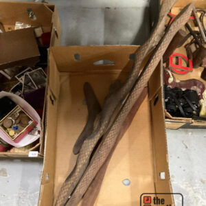 Lot 525