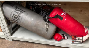 Everlast Boxing Bag & Other